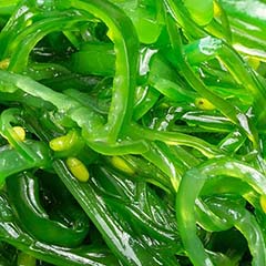 Extrato de Wakame